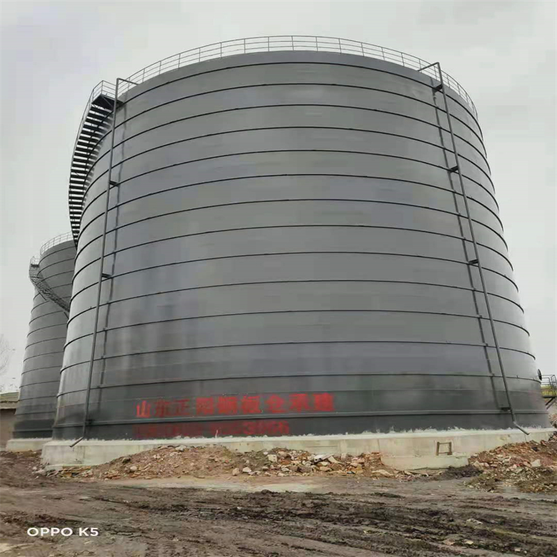 靖西3万吨大型钢板库