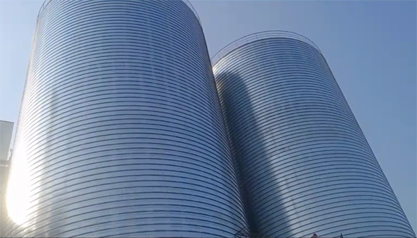 靖西2座混凝土高架卷板仓